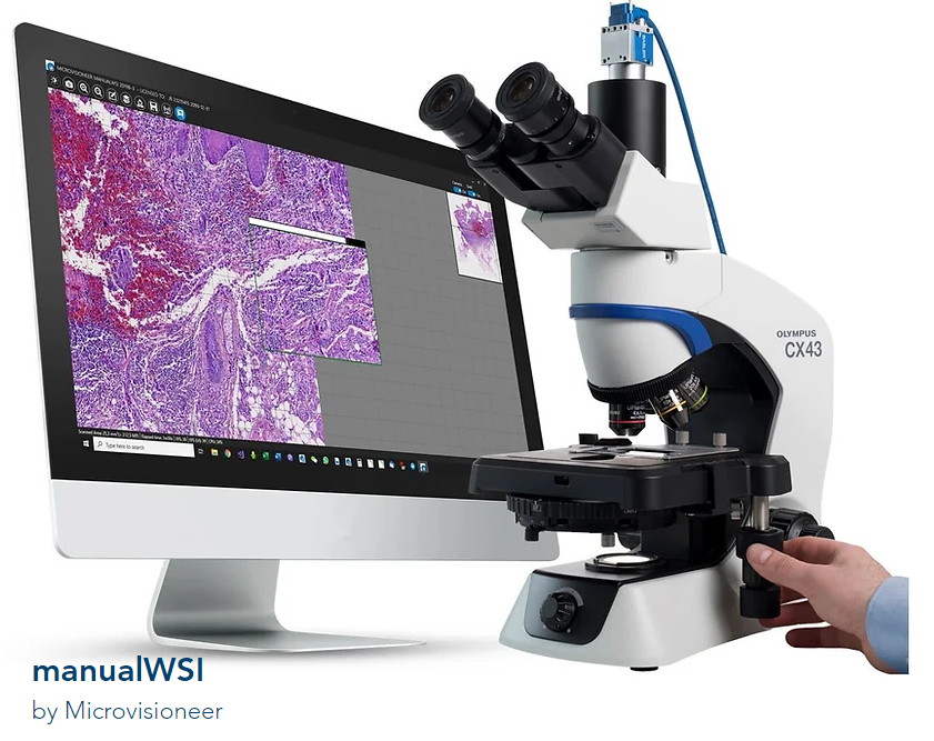 Microvisioneer | manualWSI Software für Pathologie und Histologie