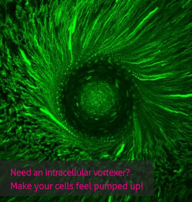 Rapp OptoElectronic GmbH FLUCS