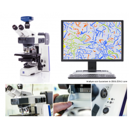 Diagonal | ZEISS Axioscope 5 - The Upright Microscope for Metallography