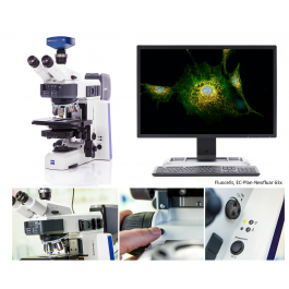 Bildsysteme HORN | Das ZEISS Axioscope 5: Ihr aufrechtes Mikroskop für Pflanzenphysiologie