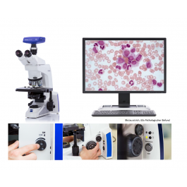 Diagonal | Zeiss Axiolab 5 - Upright Microscope for Hematology