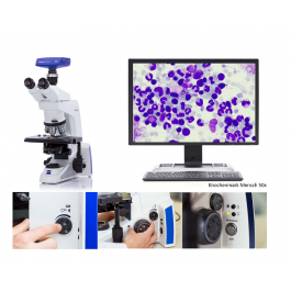 Diagonal | Zeiss Axiolab 5 - Upright Microscope for Pathology and Histology