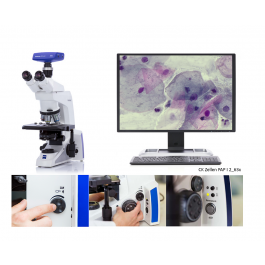 Diagonal | Zeiss Axiolab 5 - Upright Microscope for Cytology