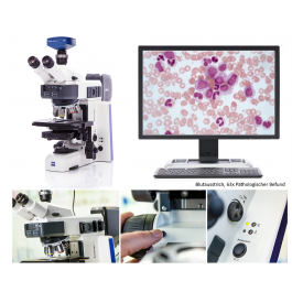 Diagonal | ZEISS Axioscope 5 - Upright Microscope for Hematology