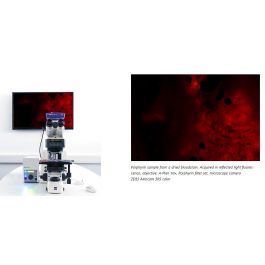 Optosys: The Upright Microscope ZEISS Axioscope 5, DL/Fl, 6xH DIC encoded for the examination of porphyrin samples