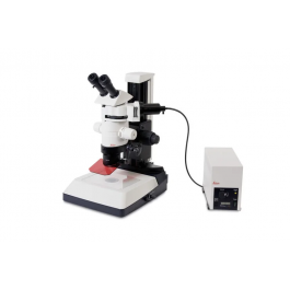 Leica - the stereomicroscope MZ10 F - for Fluorescent Imaging