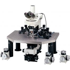 NIKON - das aufrechte Mikroskop ECLIPSE FN1 für die elektrophysiologische Forschung