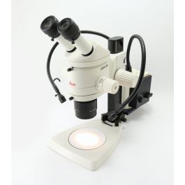 microscopia | Refurbished Leica Stereo Microscope MZ6 with Leica L2 Cold Light Source