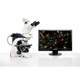 Ryf AG | the upright research microscope Leica DM2500 LED with DIC and brilliant fluorescence