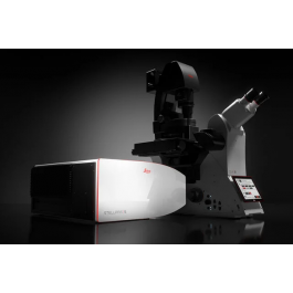 Leica Stellaris 5 Cryo - das konfokale Lichtmikroskopsystem