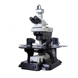 npi electronic GmbH | Sensapex uM-Patch fully integrated upright microscope workstation (Nikon ECLIPSE FN1) for slice electrophysiology