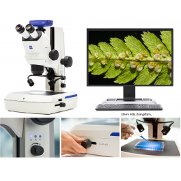 Diagonal | Zeiss Stemi 508: Stereomikroskop für morphologische und histologische Anwendungen
