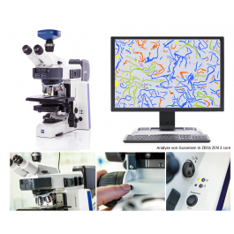 Diagonal | ZEISS Axioscope 5 - Das aufrechte Mikroskop für die Metallographie