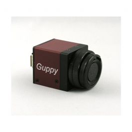 Wie-Tec | Refurbished Allied Guppy GF-033C Camera (Firewire)