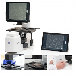 Diagonal | ZEISS Axiovert 5 digital - KI-gestützte Workflows zur Zellzählung und zur Zellkonfluenz