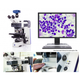 Diagonal | ZEISS Axioscope 5. Ihr Aufrechtes Mikroskop für die Pathologie und Histologie