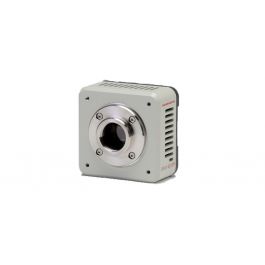 Hamamatsu - ORCA-spark Digital CMOS Kamera: C11440-36U