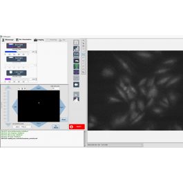LLS Rowiak | Optogenetics Starterkit