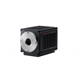 Hamamatsu - ORCA-Flash4.0 V3 Digital CMOS Kamera: C13440-20CU