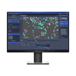 ZEISS | ZEN 3.7 Mikroskopie-Software - für biowissenschaftliche Anwendungen